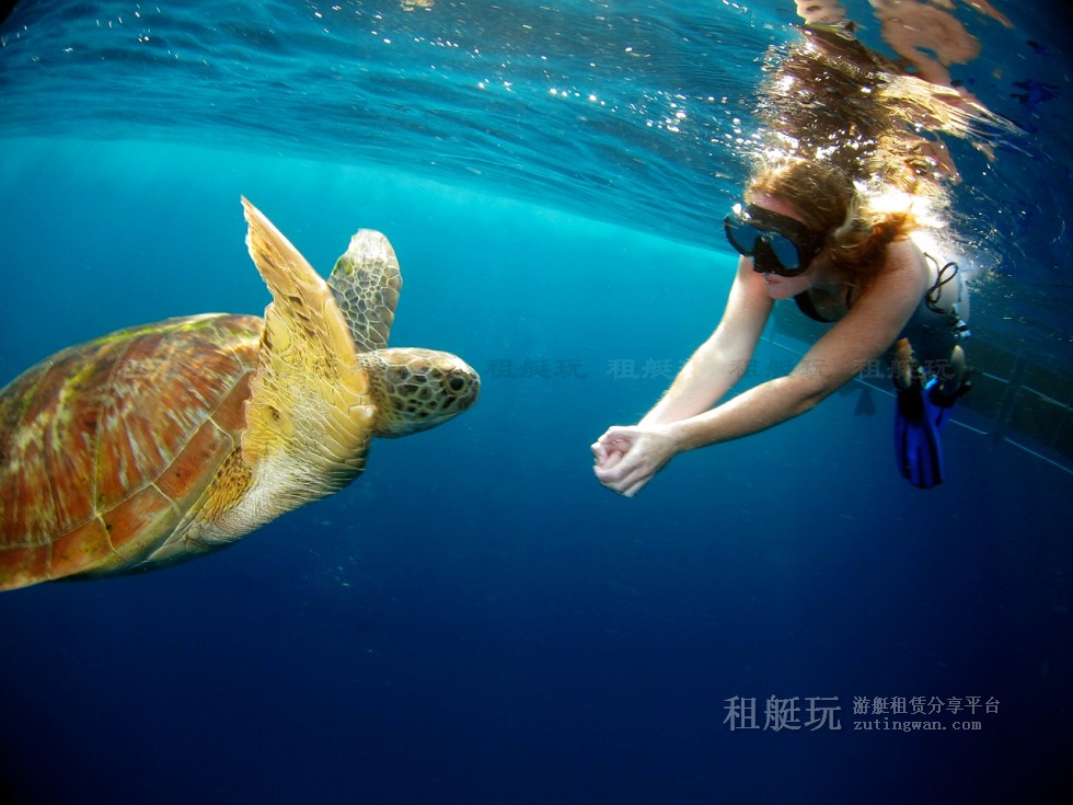 泰國 普吉島游艇租賃 斯米蘭群島