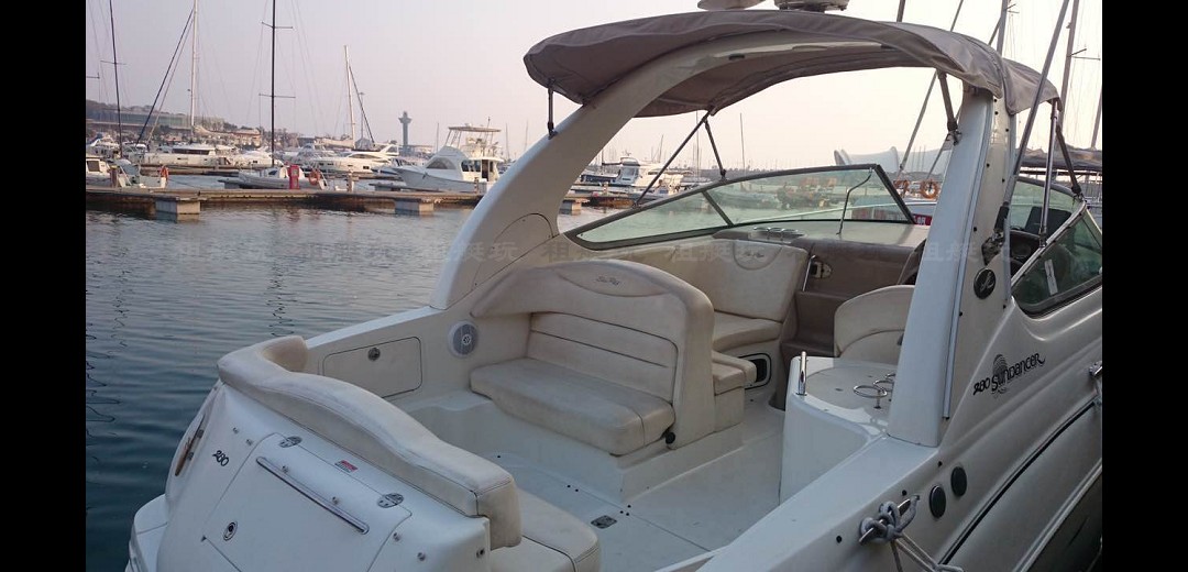 Sea Ray 315